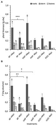 Mycorrhizal Mediated Partitioning of Phosphorus: Ectomycorrhizal (Populus x canescens x Paxillus involutus) Potential to Exploit Simultaneously Organic and Mineral Phosphorus Sources